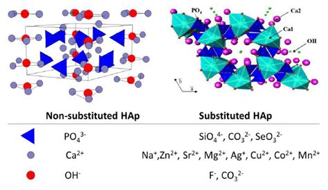  ¿Relleno de Hidroxiapatita: Una Maravilla Mineral para la Ingeniería Tisular?